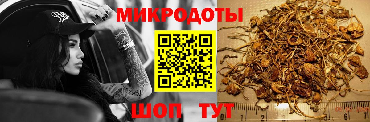 Псилоцибиновые грибы GOLDEN TEACHER  Вход с VPN  Галлюциногенные грибы GOLDEN TEACHER  Серпухов 